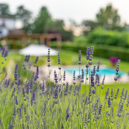 Villa D'Epoca Carniani 아레초 외부 사진